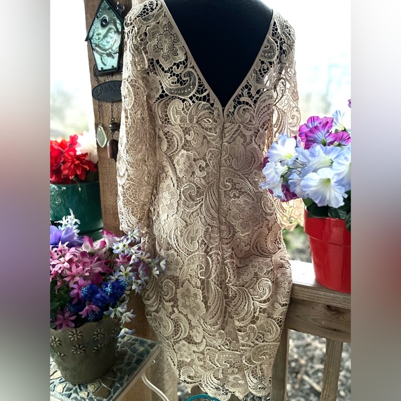 Adrianna Papell Elegant Palest Beige Lace Overlay Back Zip 3/4 Sleeves Dress 10 - Picture 8 of 11
